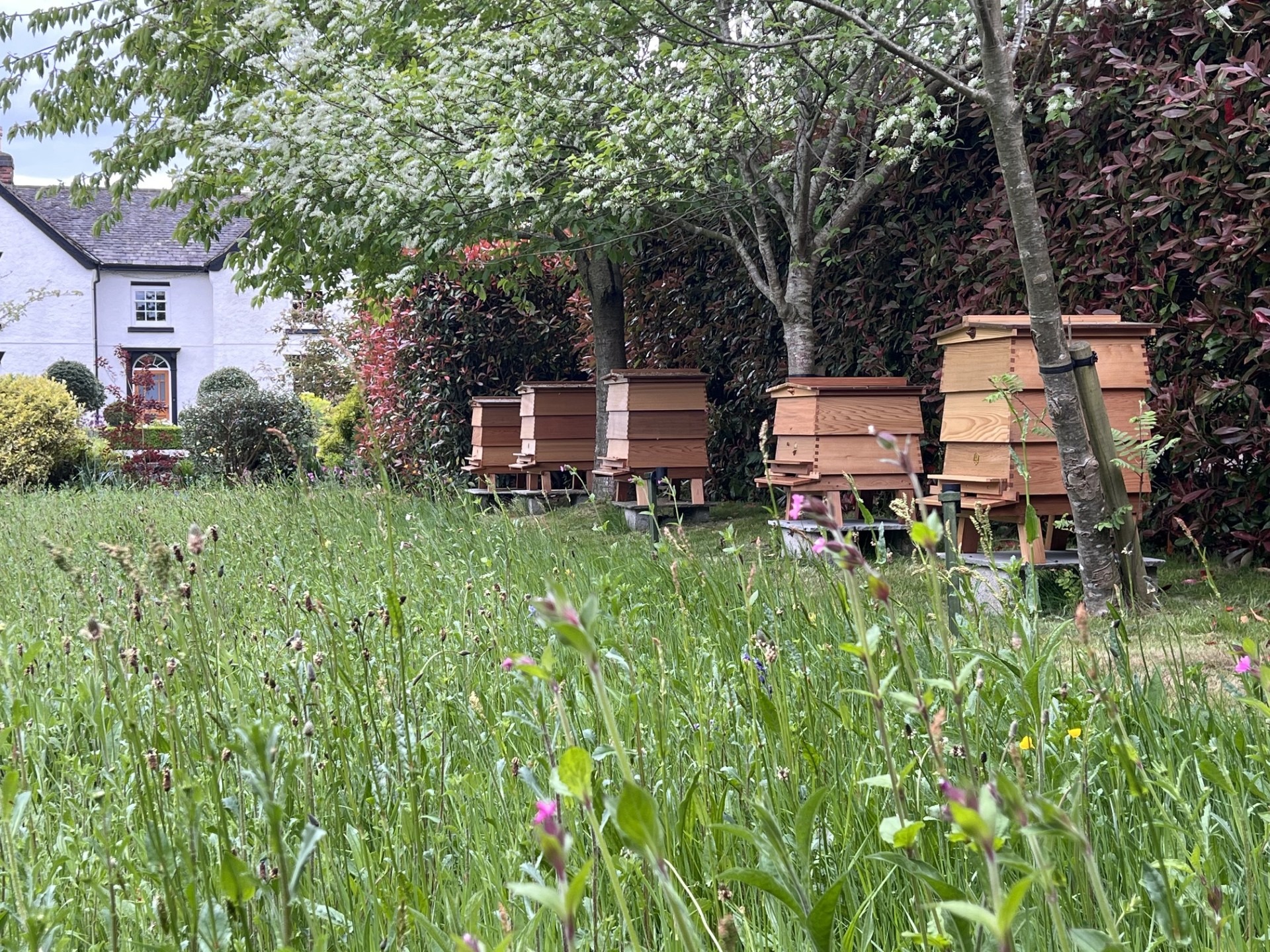 White House Apiary in Swithland, Leicestershire